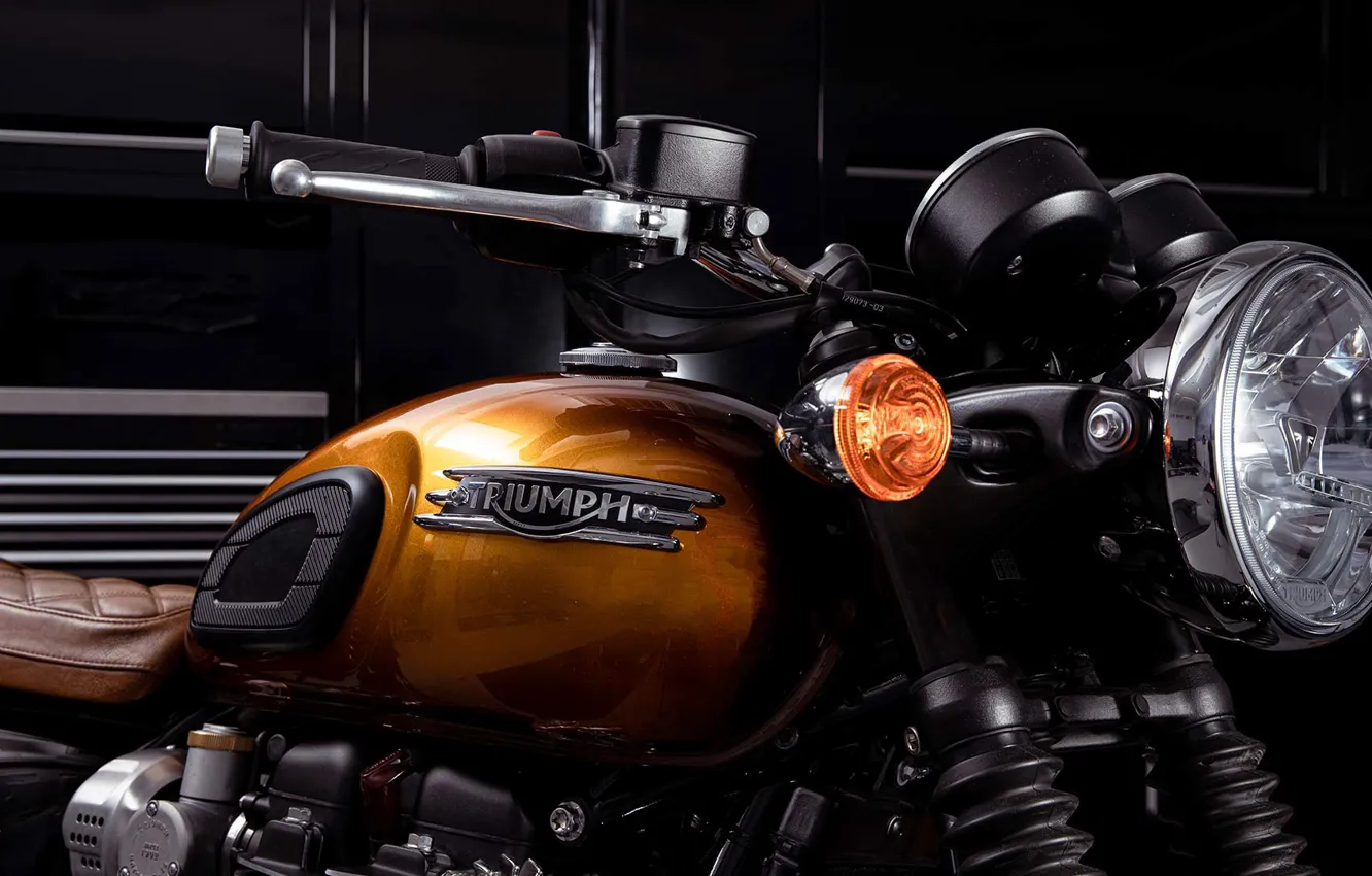 Фото обои Gibson, Triumph, triumph, T120