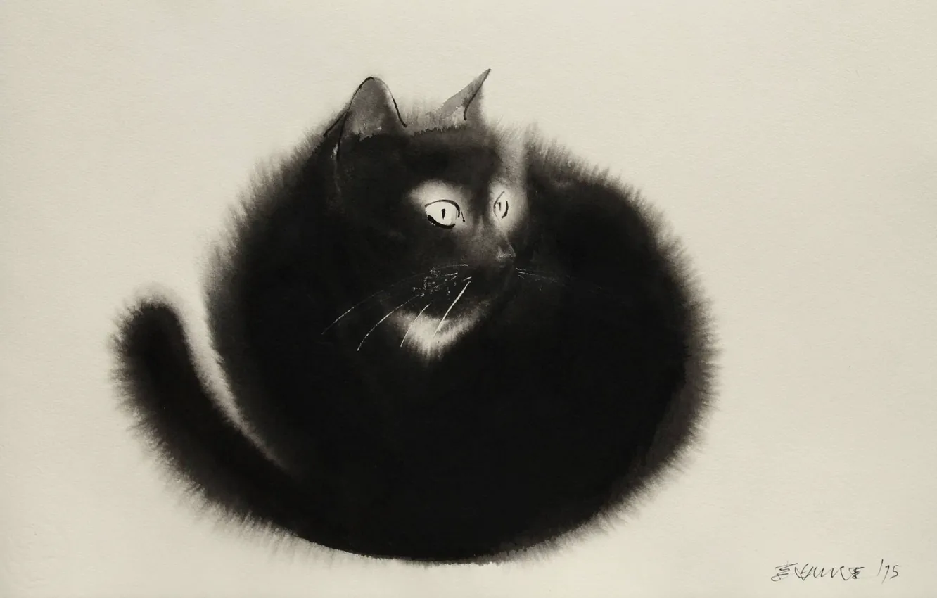 Фото обои фон, белое, черное, акварель, живопись, пушистик, черная кошка, Endre Penovac