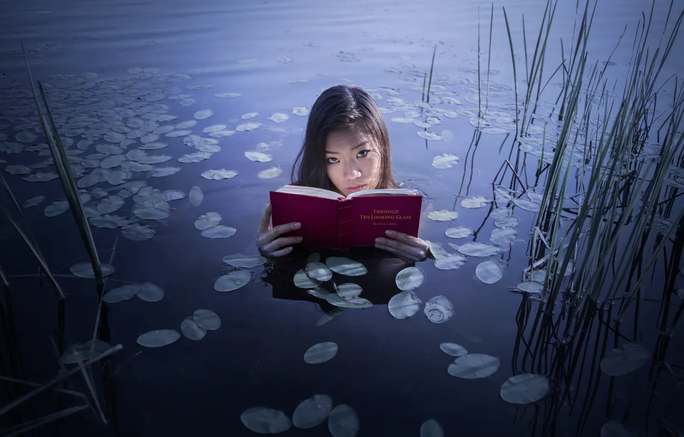 Фото обои девушка, озеро, книга