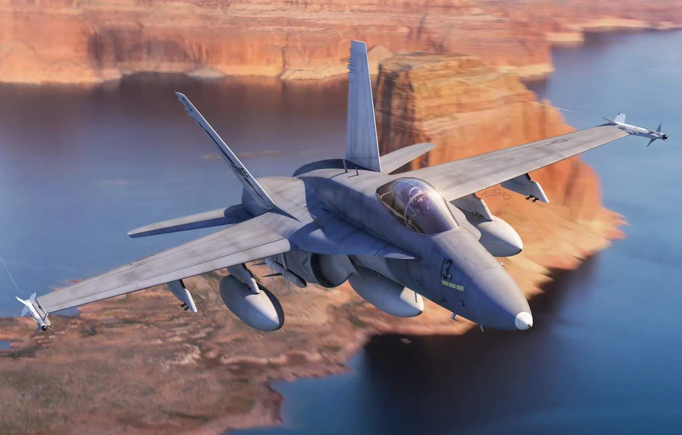 Фото обои США, Истребитель-бомбардировщик, F/A-18 Hornet, Боевой самолёт, Палубная авиация
