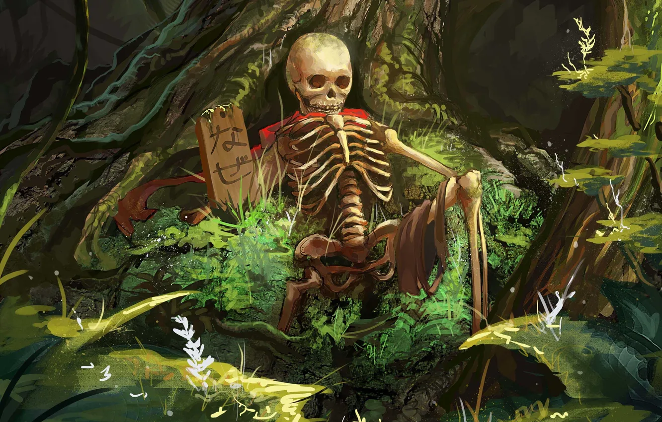 Фото обои красный, табличка, арт, кости, плащ, лес. скелет