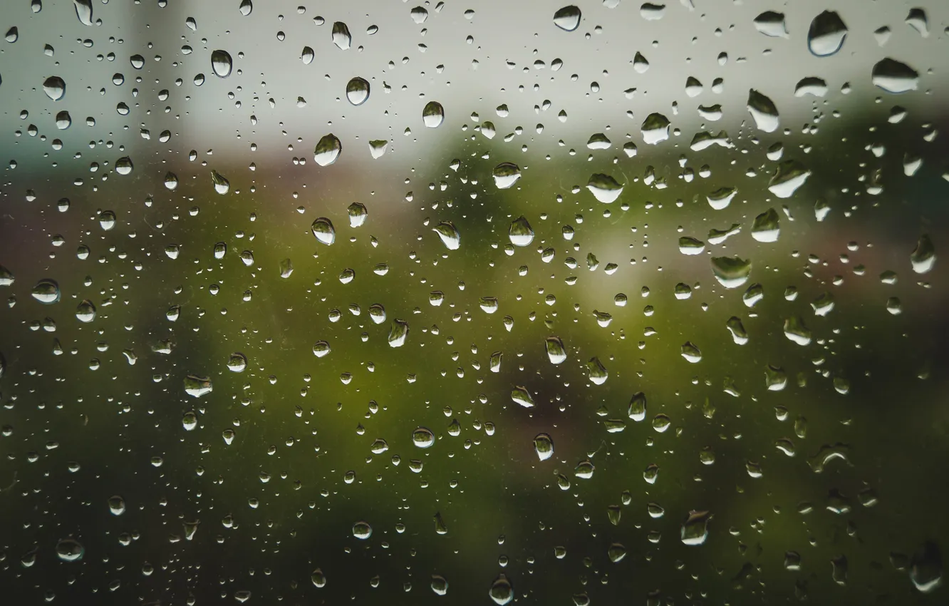 Фото обои капли, макро, природа, дождь