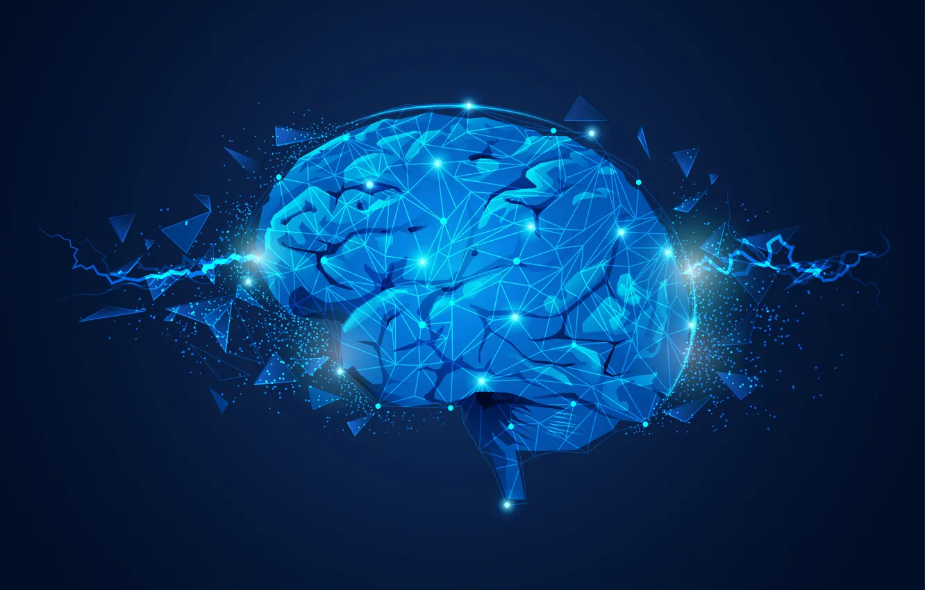 Фото обои blue, human, brain