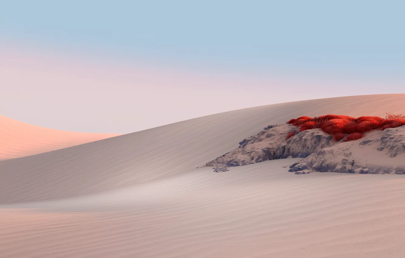 Фото обои desert, sand, dunes, desert landscape