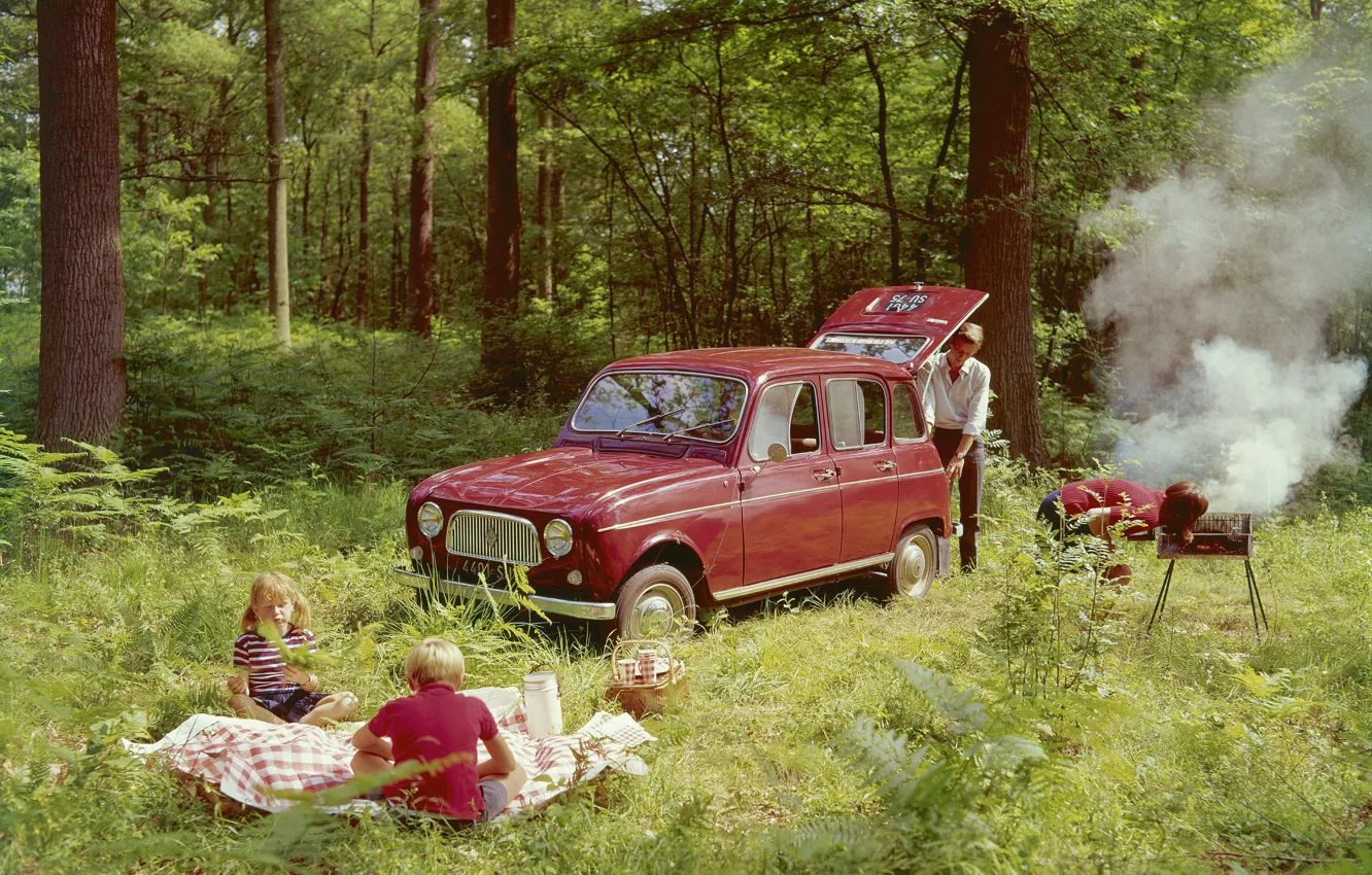 Фото обои forest, picnic, 1961-1967, Renault 4 L