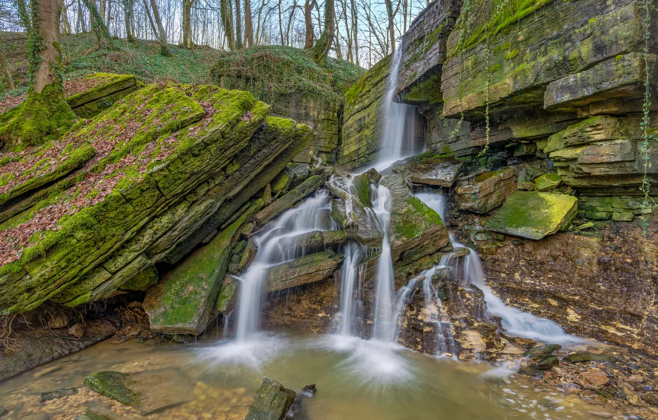 Фото обои деревья, скала, водопад, мох
