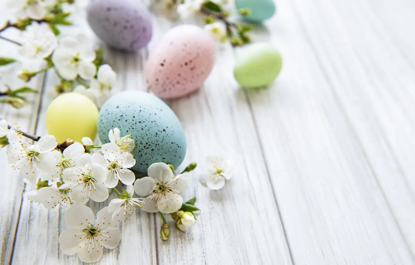 Фото обои цветы, яйца, весна, colorful, Пасха, happy, flowers, spring