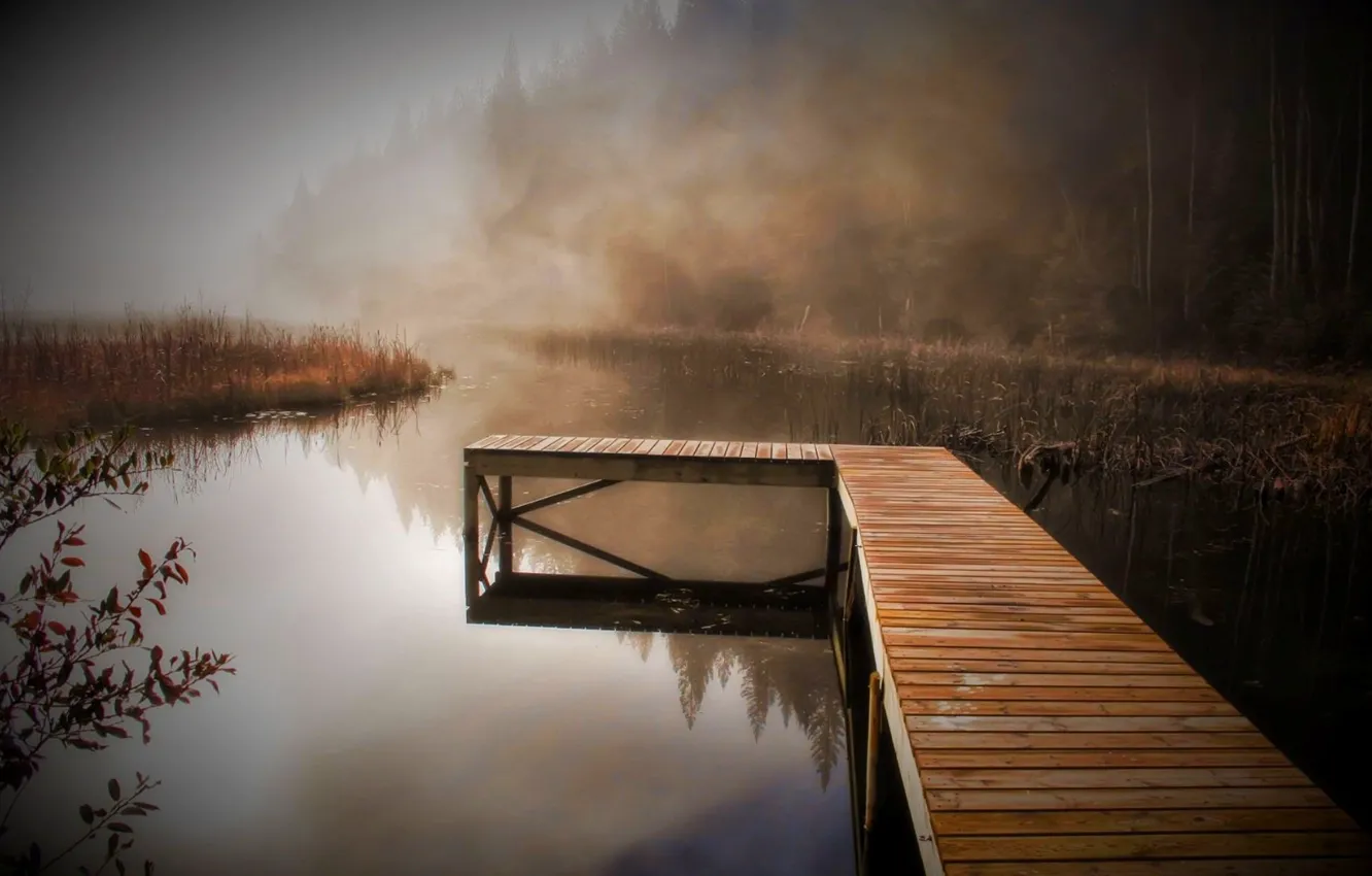 Фото обои осень, вода, деревья, туман, тишина