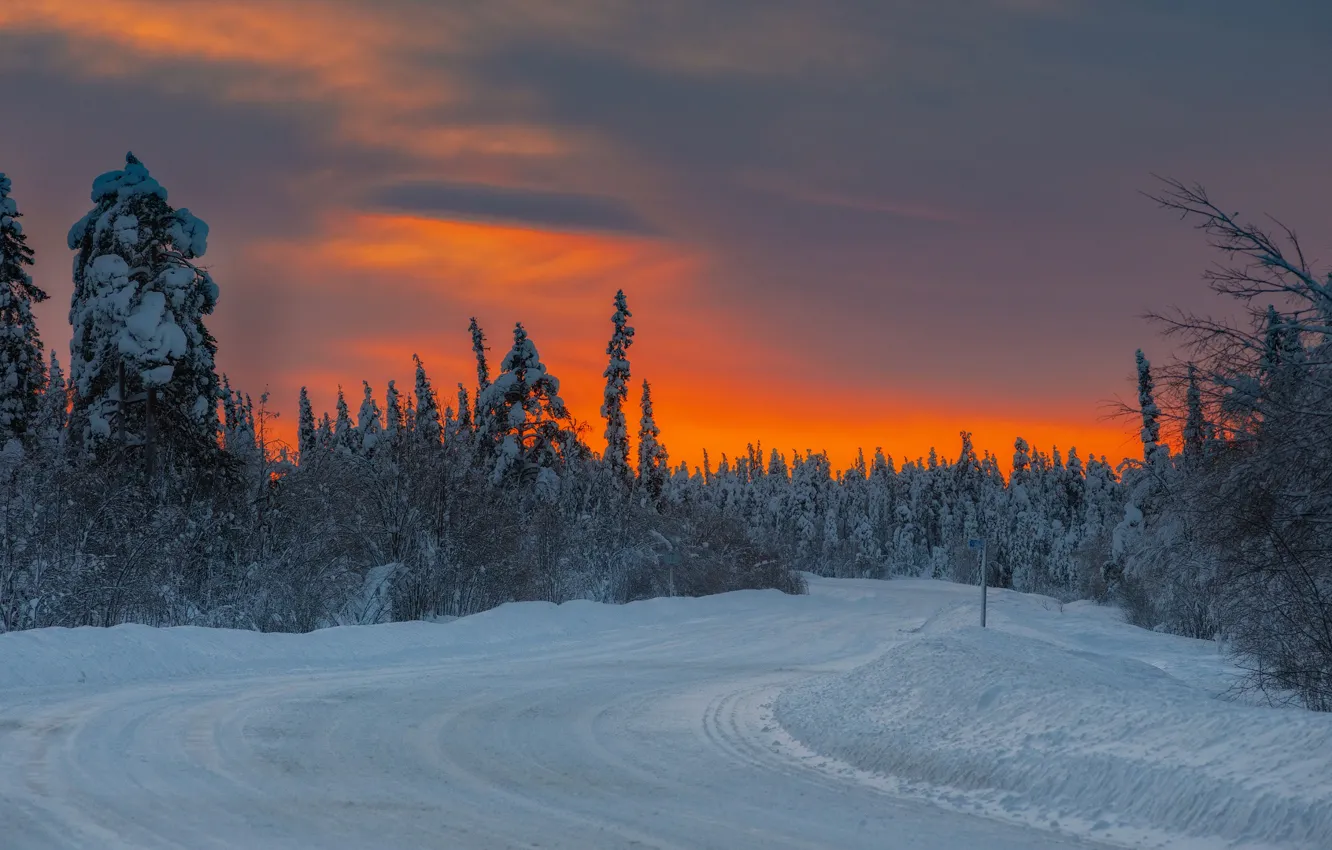Фото обои зима, дорога, снег, деревья, закат