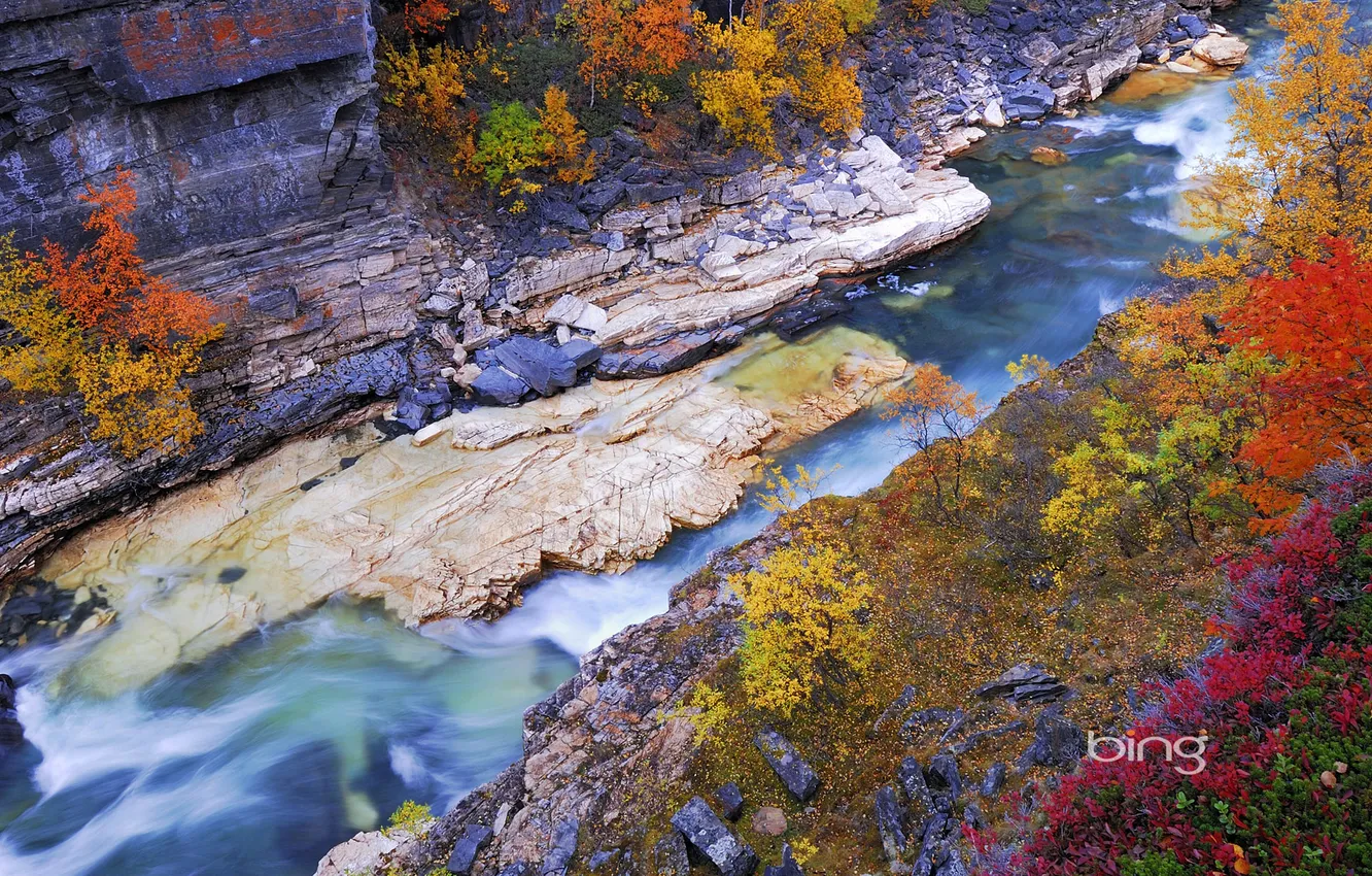 Фото обои осень, листья, река, скалы, Швеция, Sweden, деревце, Lapland