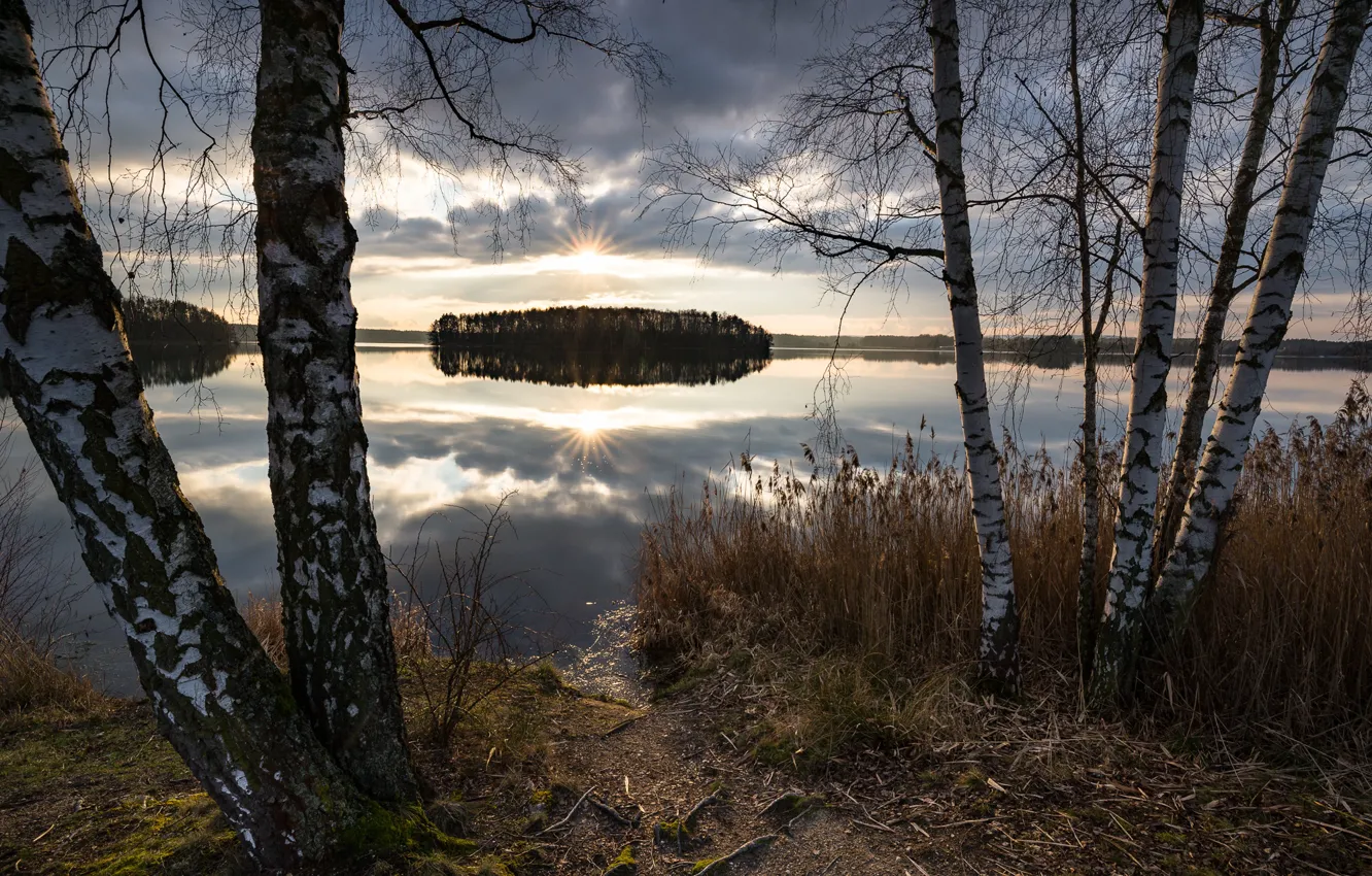 Фото обои лес, небо, трава, солнце, облака, лучи, деревья, река