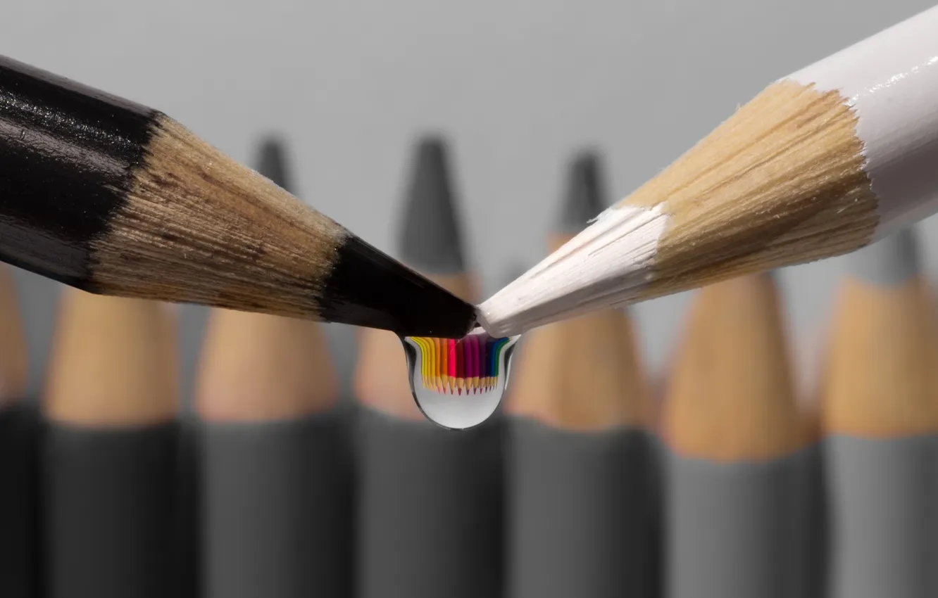 Фото обои капля, цветные карандаши, Цвет вашего мира