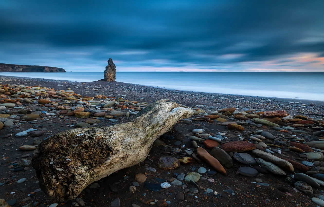Фото обои камни, побережье, Англия, коряга, County Durham