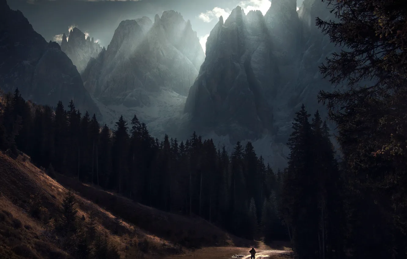 Фото обои дорога, лес, свет, горы, человек
