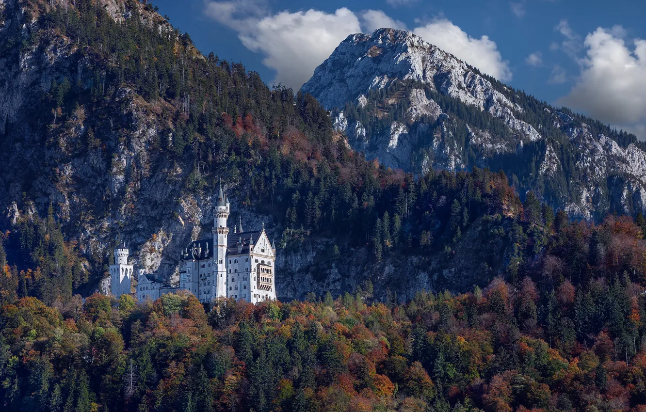 Фото обои осень, лес, горы, замок, Германия, Бавария, Germany, Bavaria