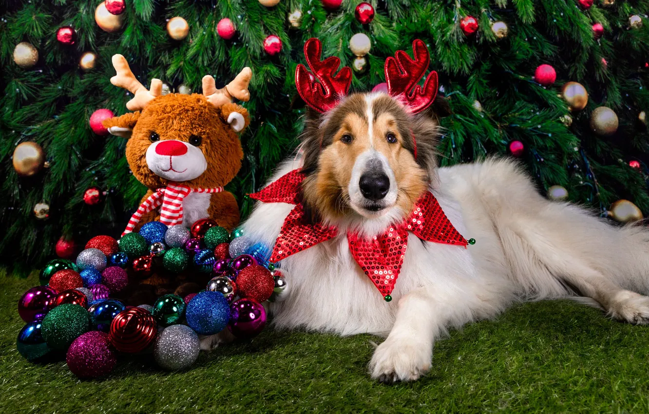 Фото обои шарики, украшения, праздник, игрушка, новый год, собака, олень, ёлка