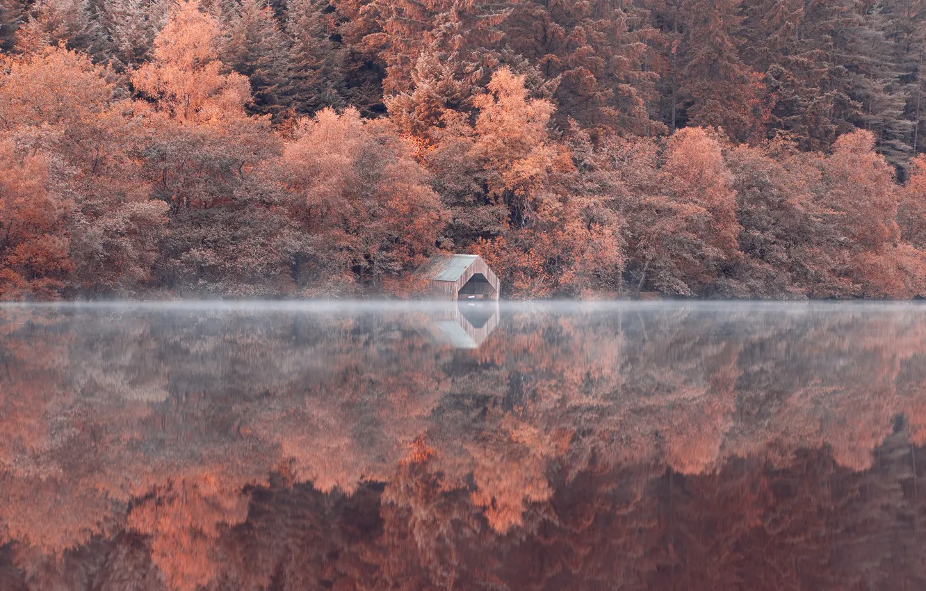 Фото обои лес, деревья, озеро, отражение, склон
