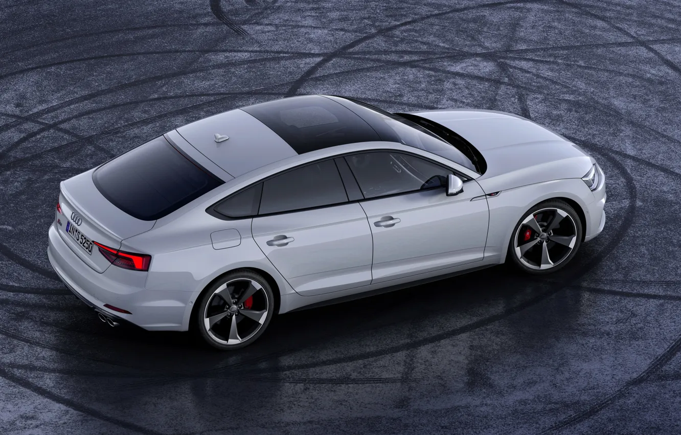 Фото обои Audi, Audi A5, спортбэк, 2019, S5 Sportback