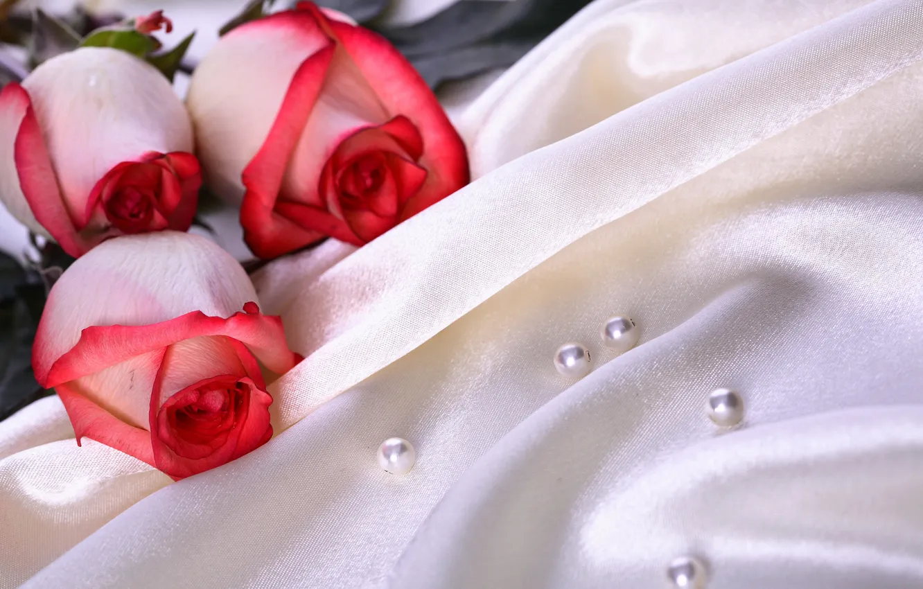 Фото обои цветы, розы, шелк, три, ткань, жемчуг, атлас