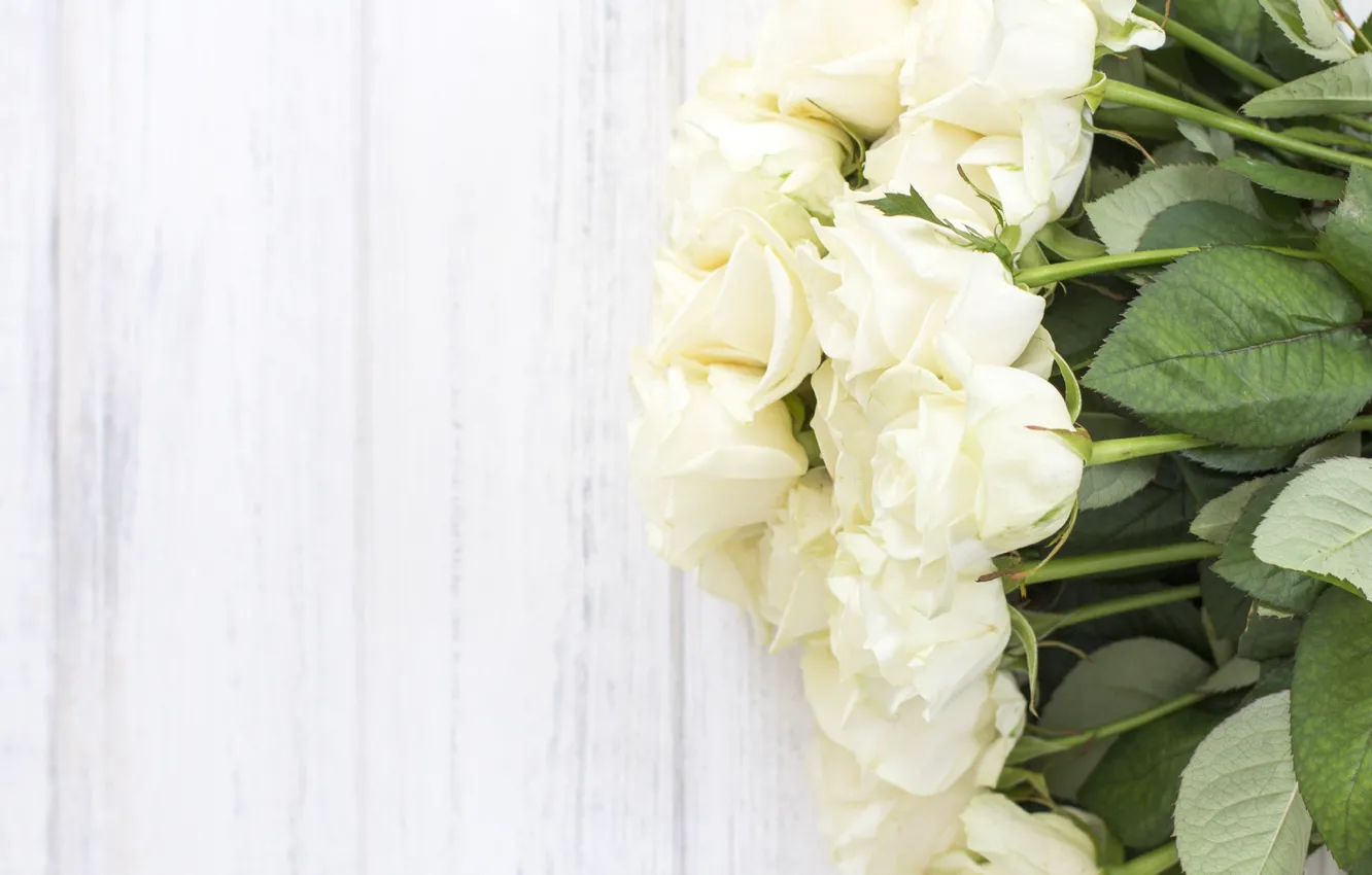 Фото обои фон, букет, бутоны, Белые розы