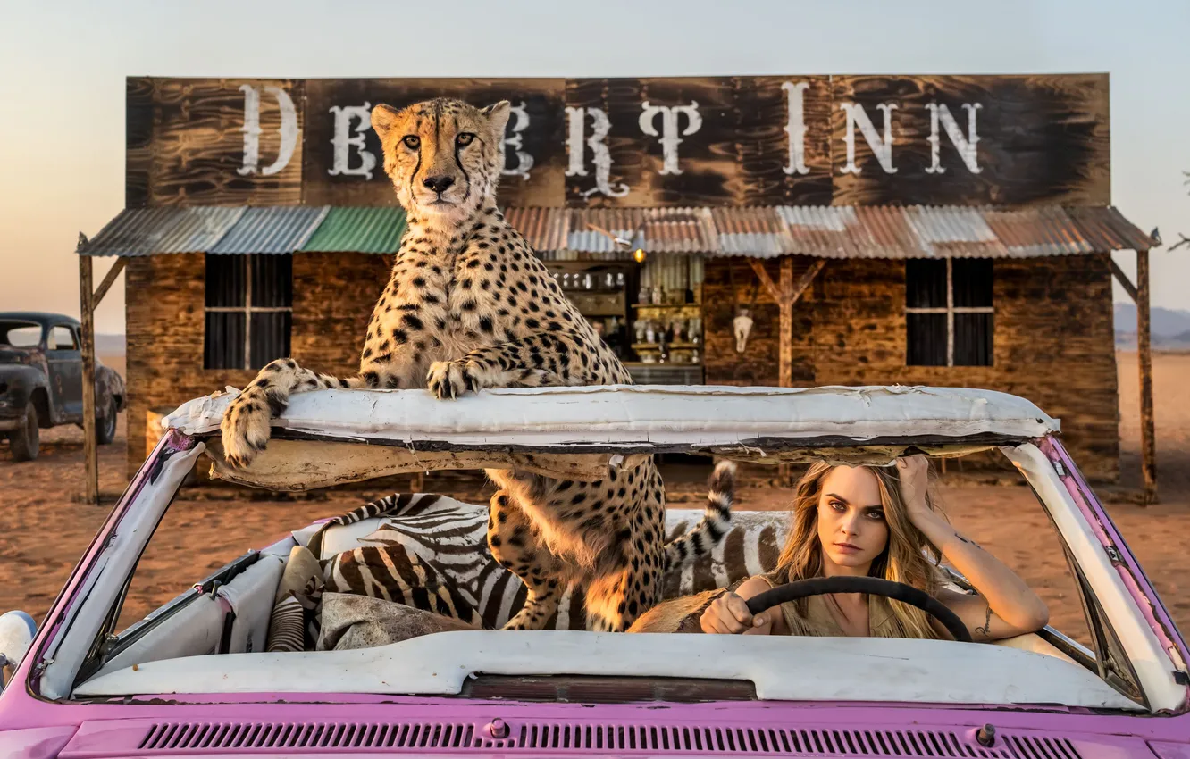 Фото обои модель, хищник, актриса, гепард, кабриолет, автомобиль, фотосессия, Cara Delevingne