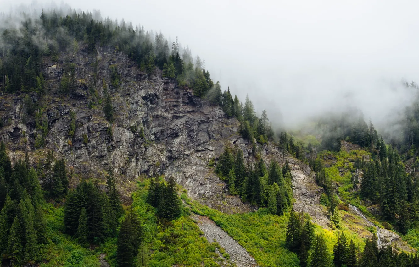 Фото обои небо, деревья, горы, природа, туман, скалы, США, Snoqualmie Pass