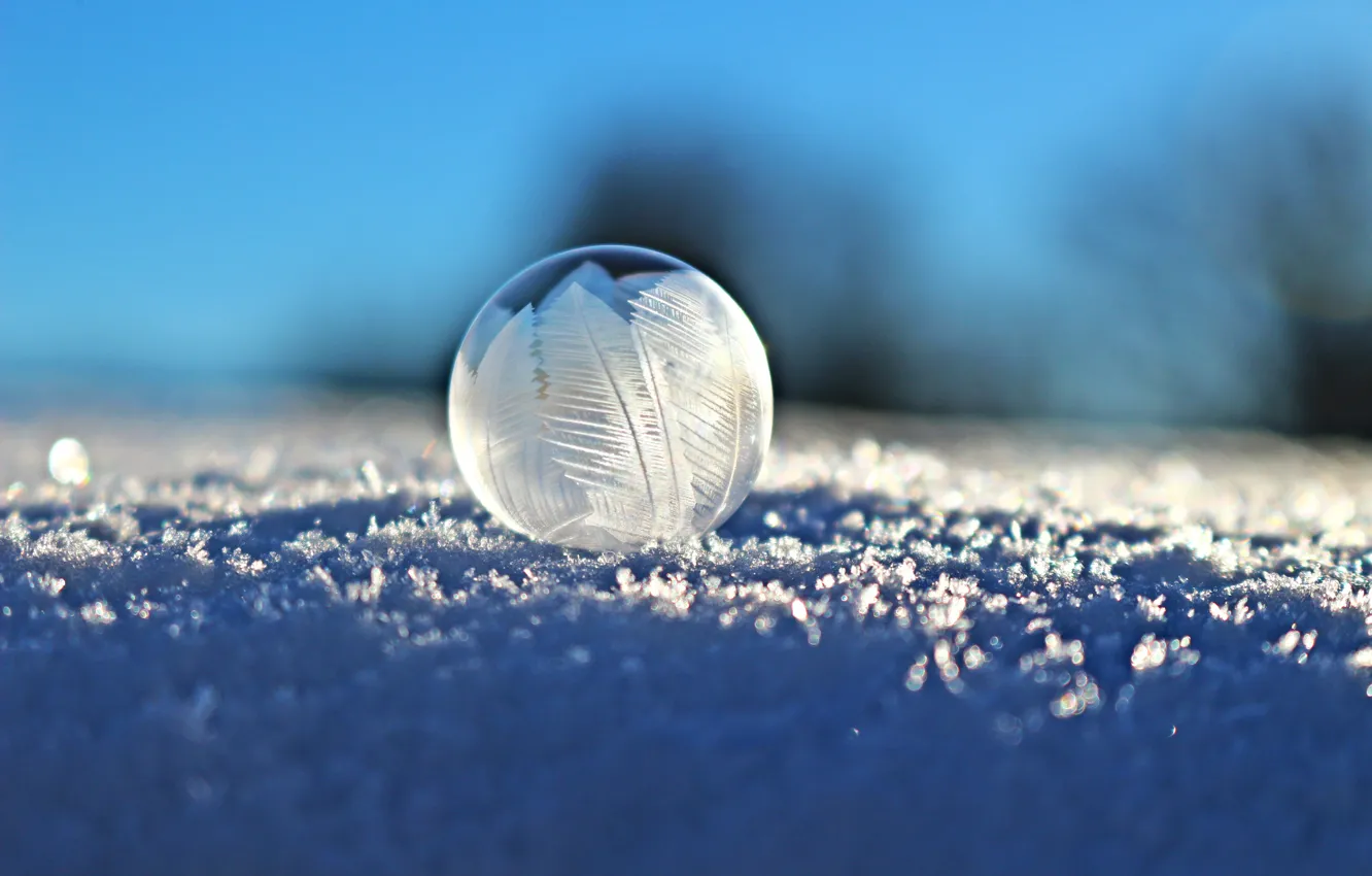 Фото обои макро, макросъемка, шар, Снег, Пузырь, winter, snow, macro