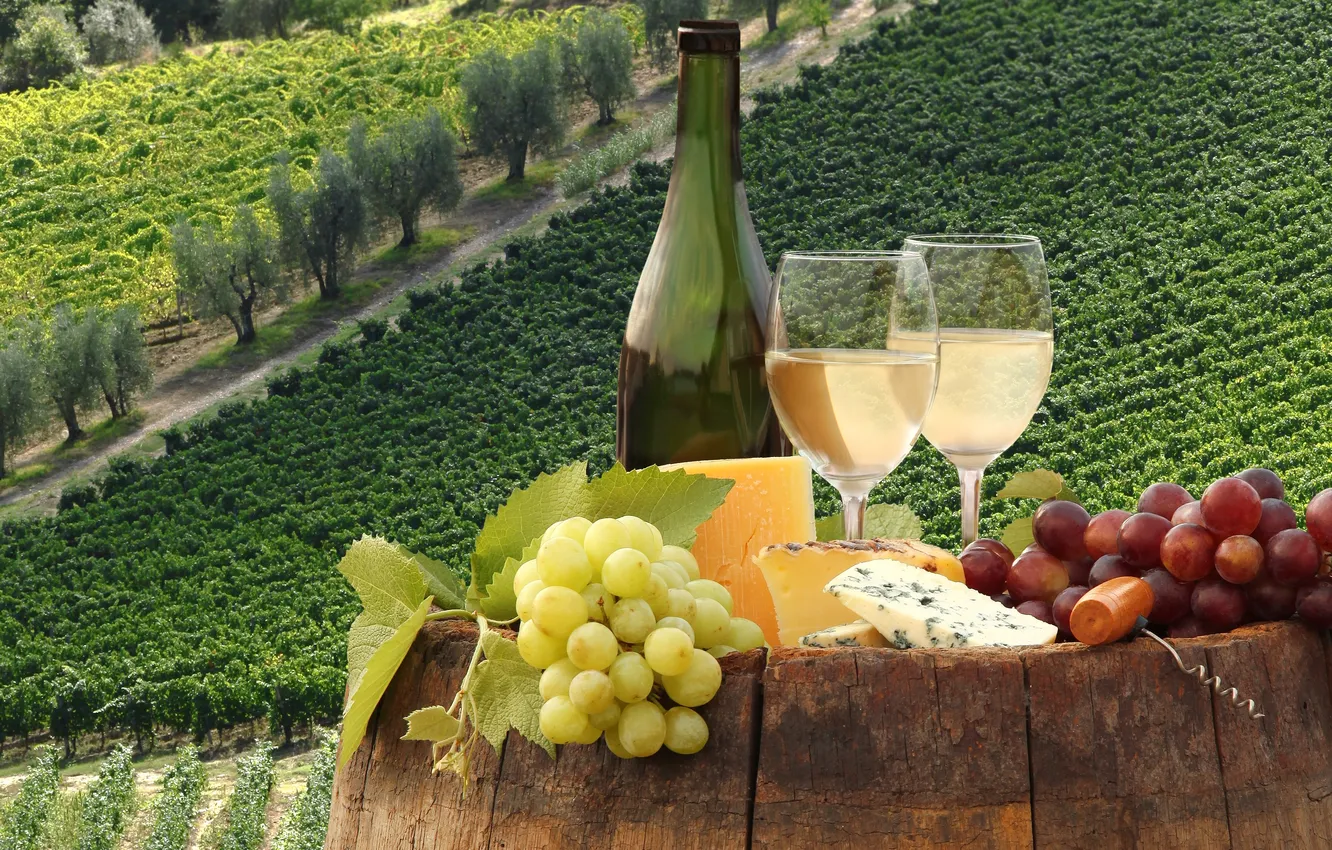Фото обои вино, сыр, виноград, штопор, виноградники
