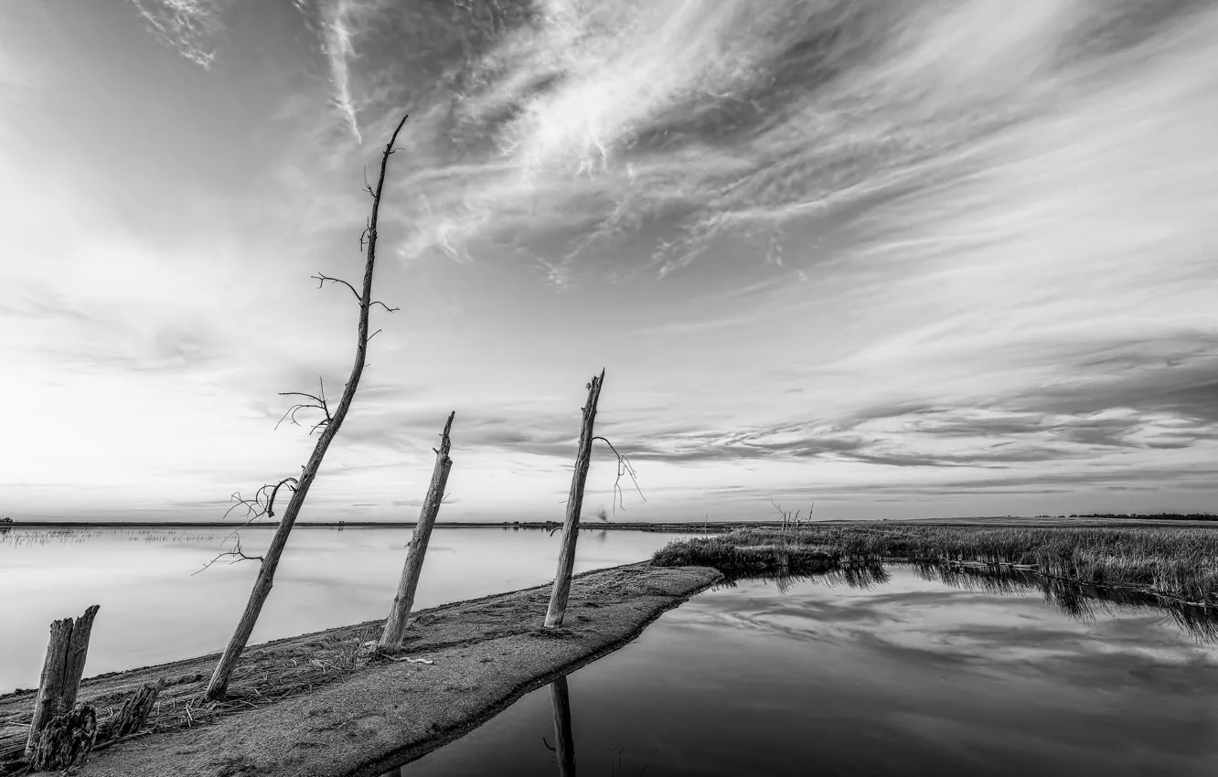 Фото обои деревья, река, фон