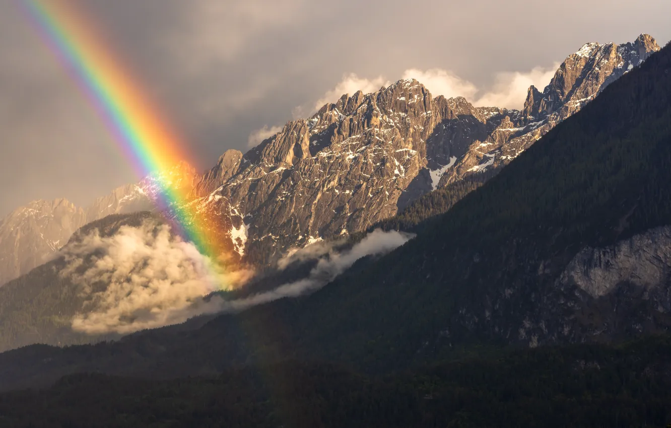Фото обои лес, небо, горы, радуга