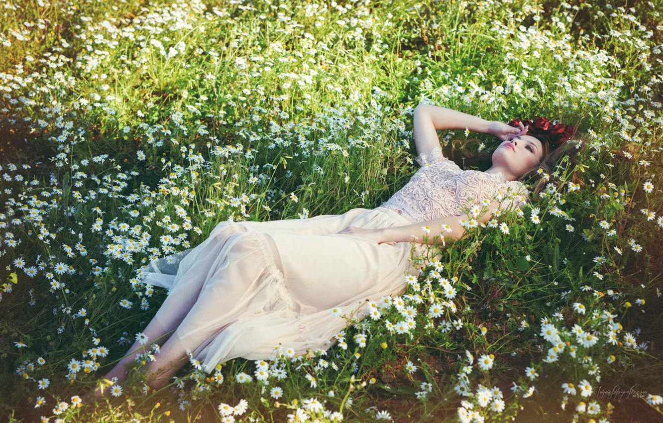 Фото обои девушка, ромашки, Tia Clifton