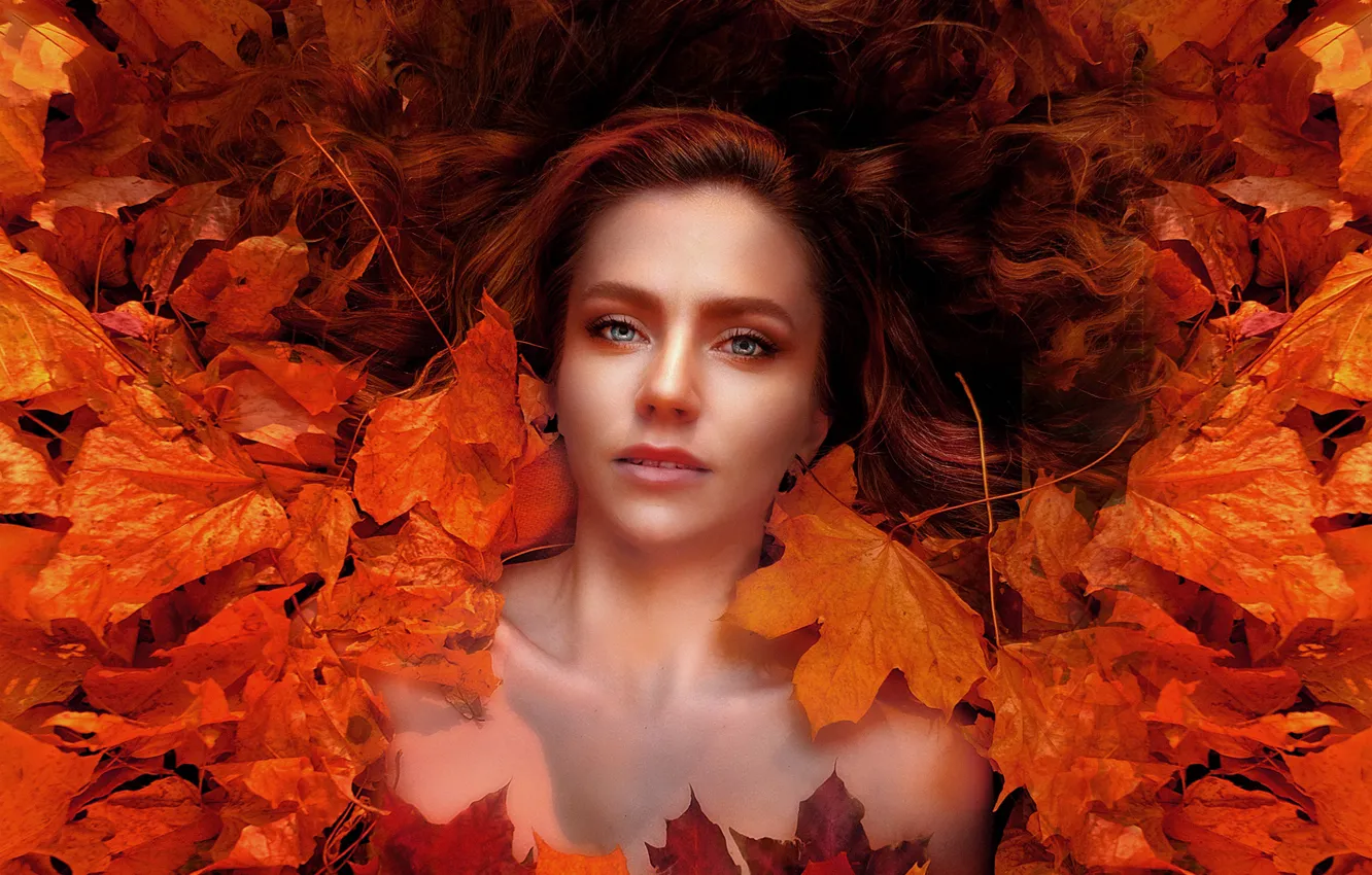 Фото обои осень, взгляд, девушка, лицо, настроение, волосы, макияж, кленовые листья