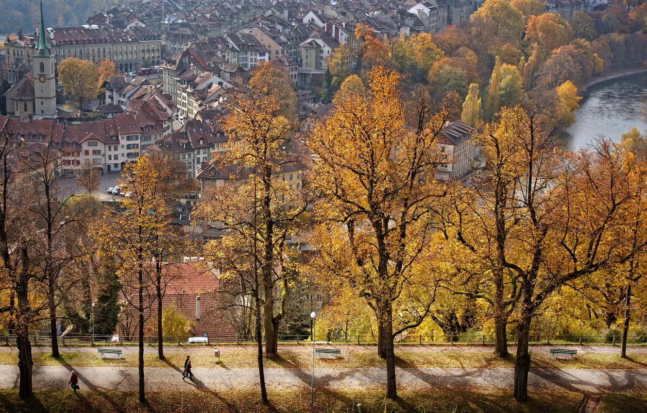 Фото обои осень, деревья, вид, красота, аллея, Switzerland, Bern