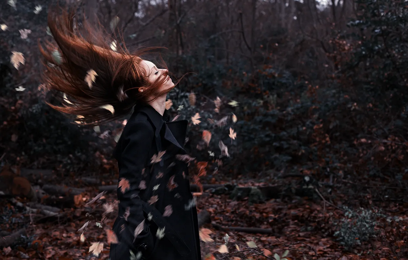Фото обои осень, листья, девушка, волосы, girl, forest, autumn, leafs