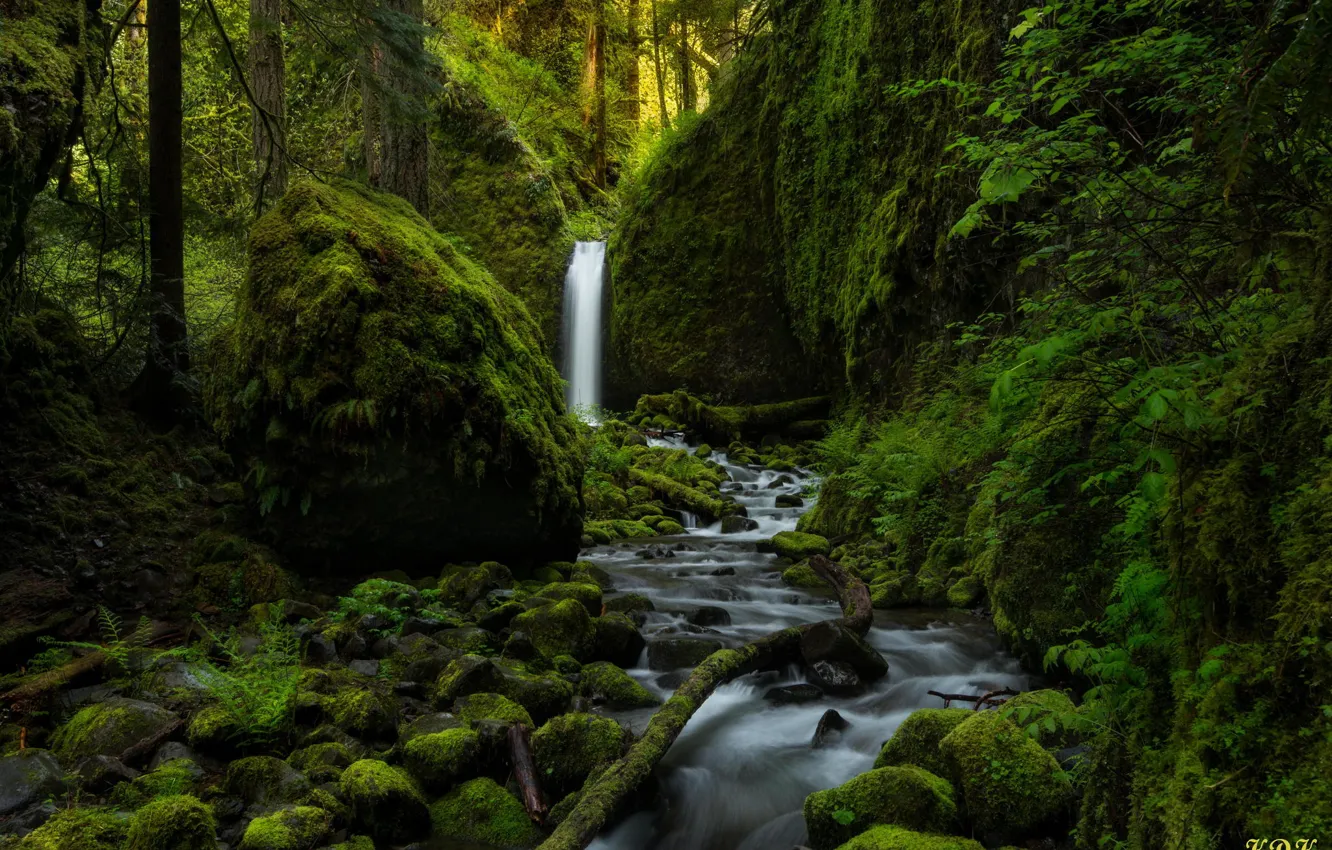 Фото обои зелень, лес, природа, река, камни, водопад