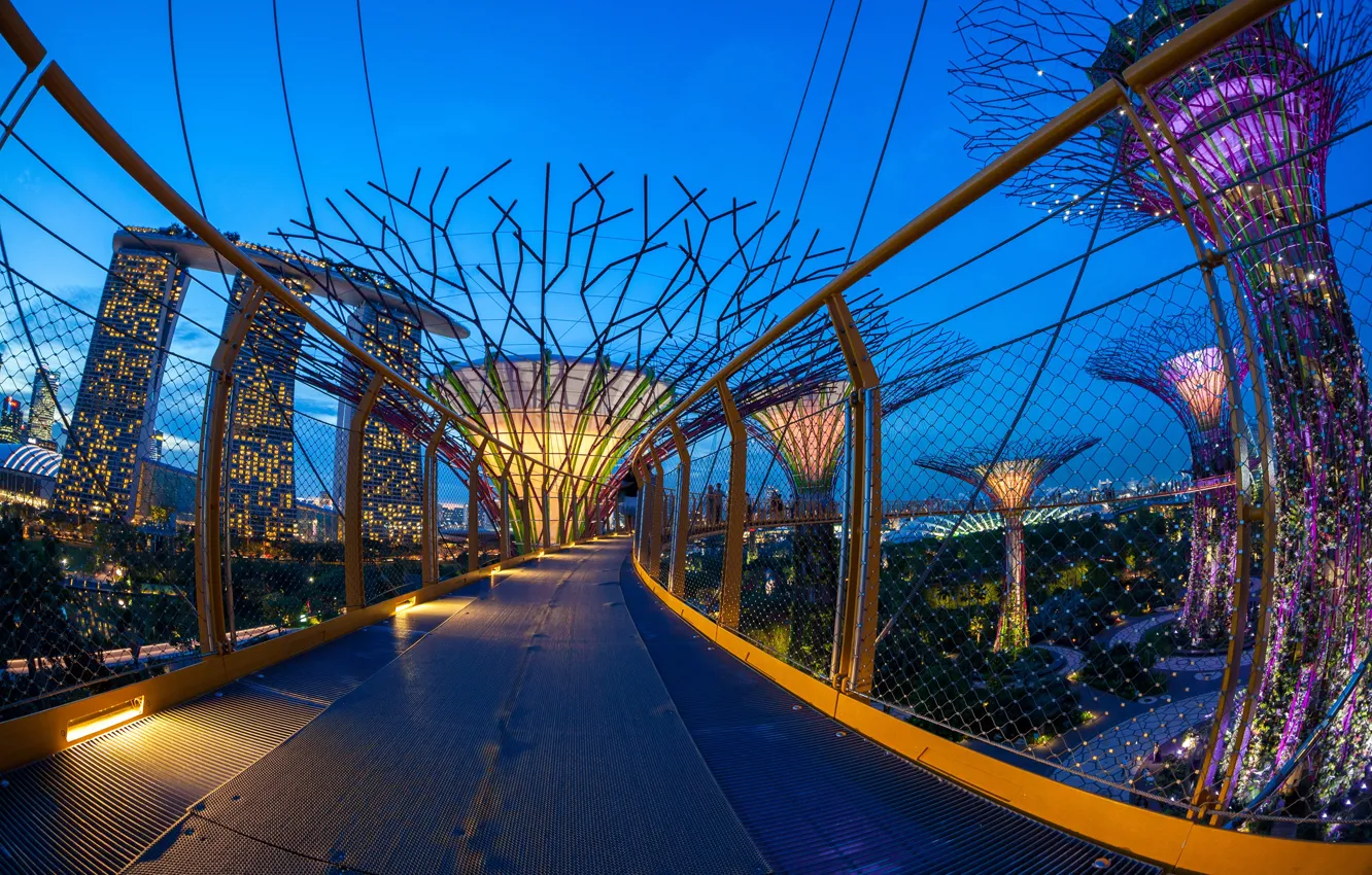Фото обои мост, дизайн, город, огни, парк, дома, вечер, Сингапур