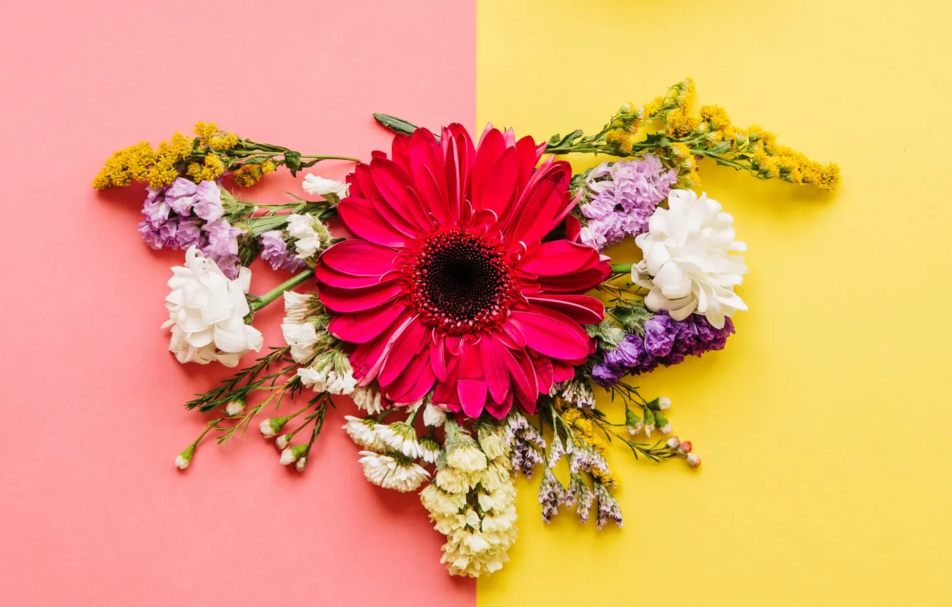 Фото обои цветы, весна, colorful, хризантемы, flowers, spring, композиция, bright