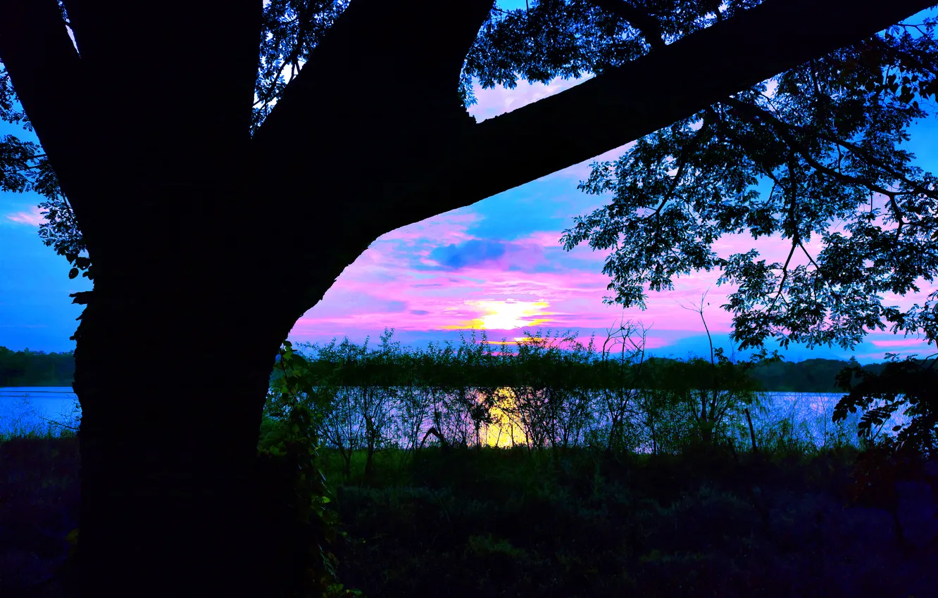 Фото обои Clouds, Sky, Sun, Water, Sunrise, Dawn, Morning, Lake