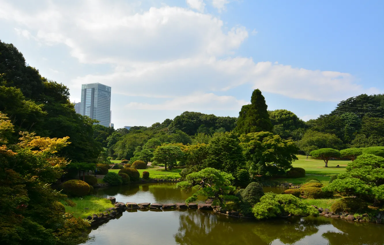 Фото обои Природа, Деревья, Япония, Пруд, Парк, Japan, Nature, Park