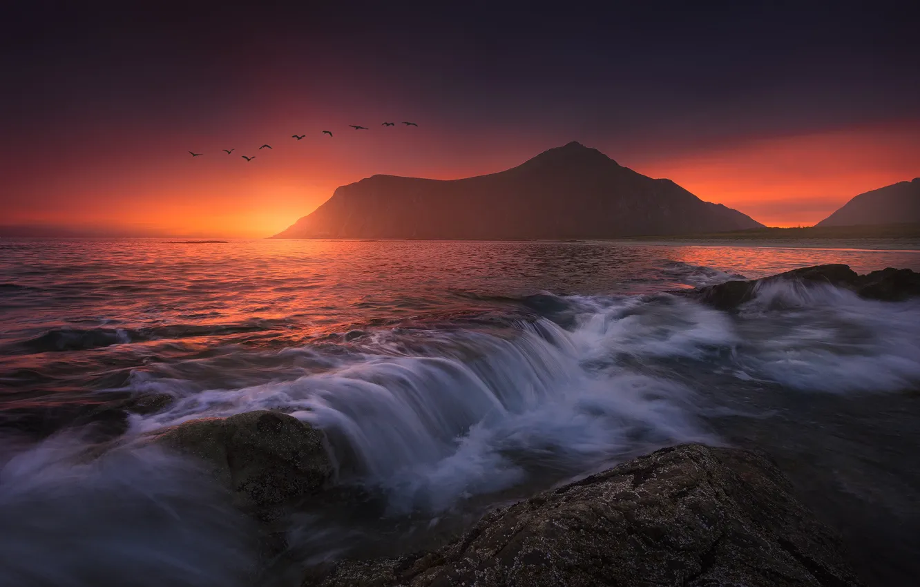 Фото обои море, закат, горы, птицы, чайки, Норвегия, Norway, Лофотенские острова