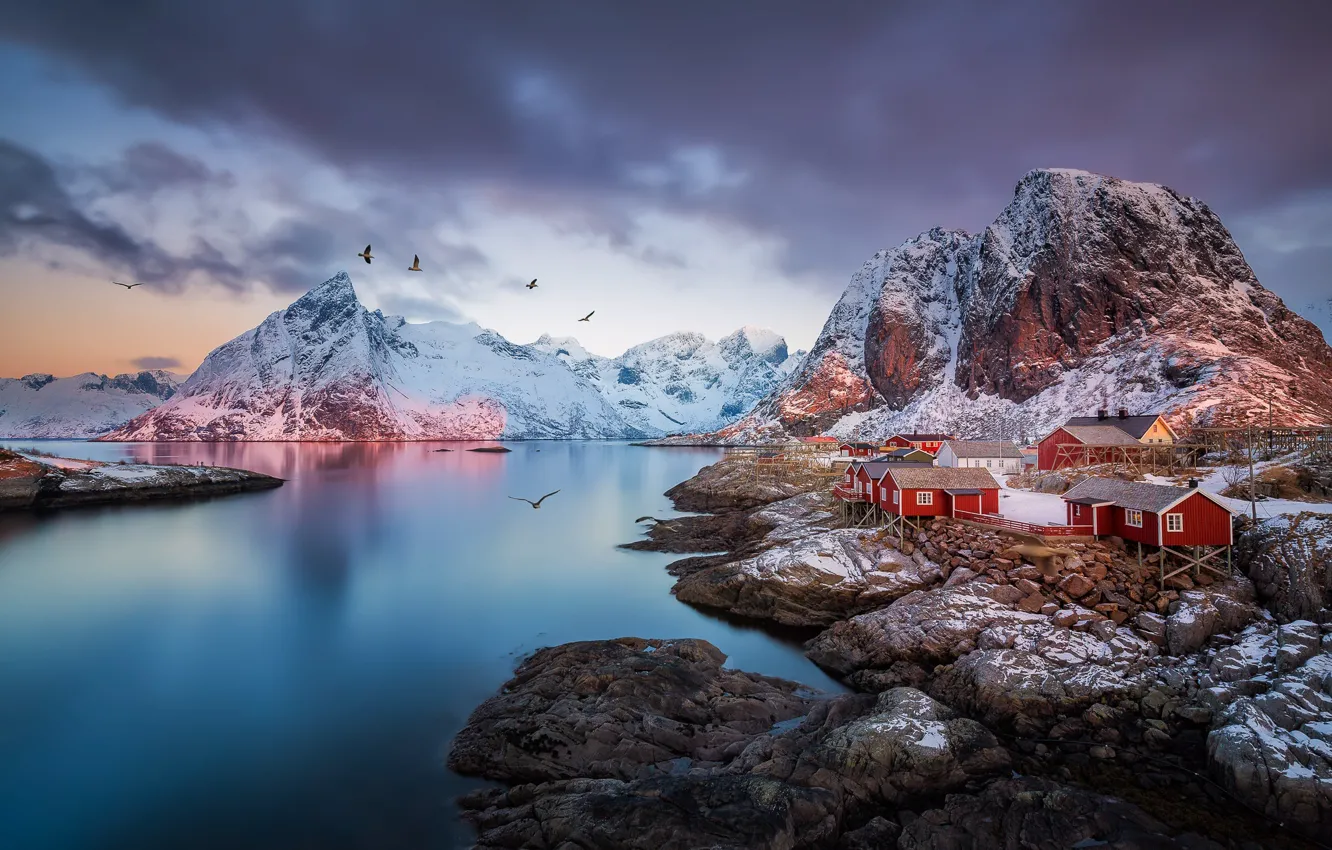 Фото обои горы, птицы, скалы, Норвегия, поселок, фьорд, Лофотенские острова