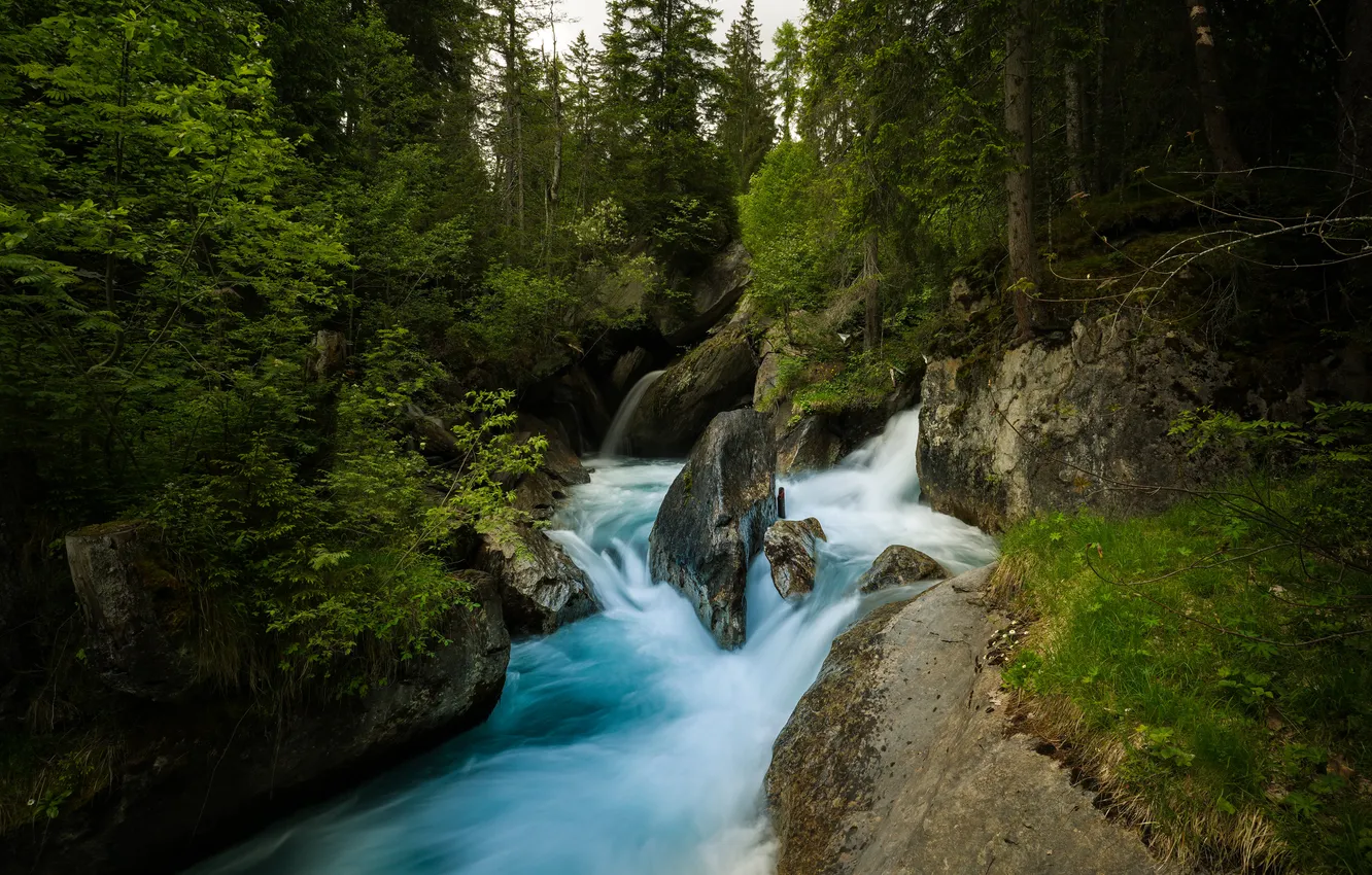 Фото обои лес, природа, река, водопад