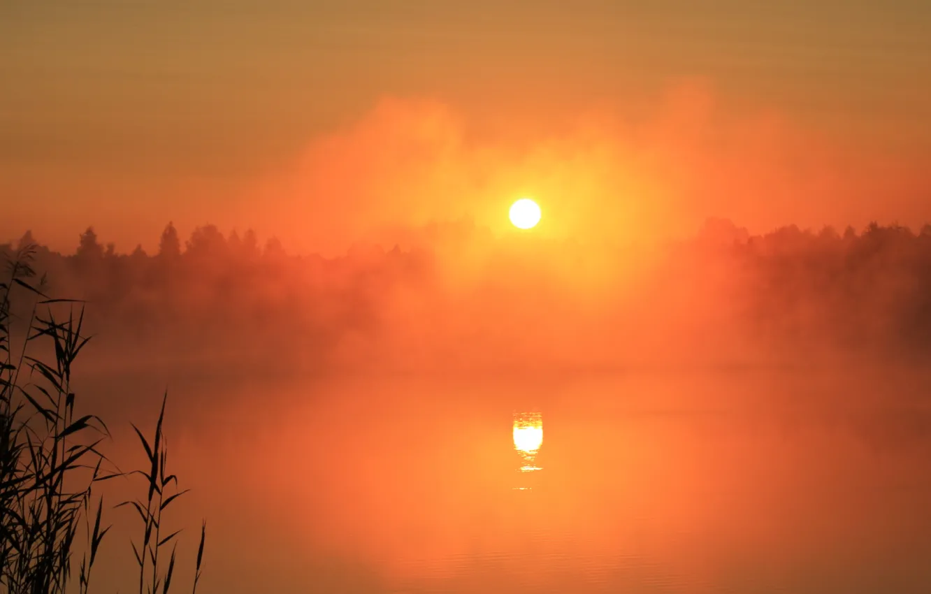 Фото обои туман, озеро, рассвет, Природа