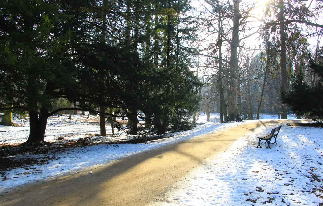 Фото обои road, trees, park, winter, alley