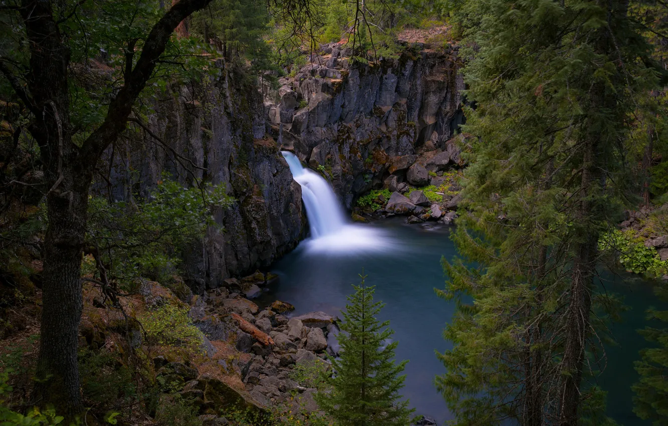 Фото обои деревья, озеро, скалы, водопад, Калифорния, California, Upper McCloud Falls, McCloud River