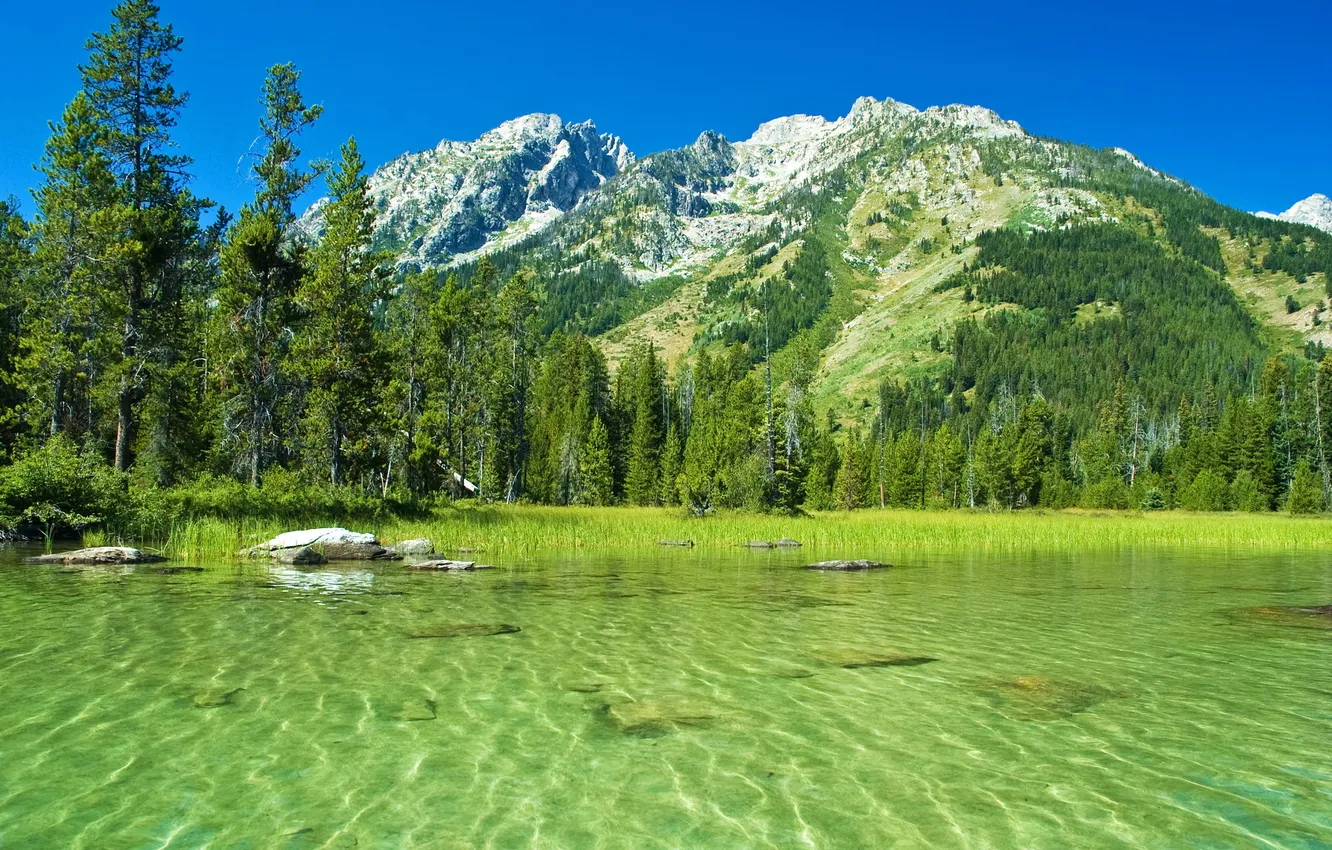 Фото обои вода, пейзаж, горы, природа, парк, фото, США, Grand Teton