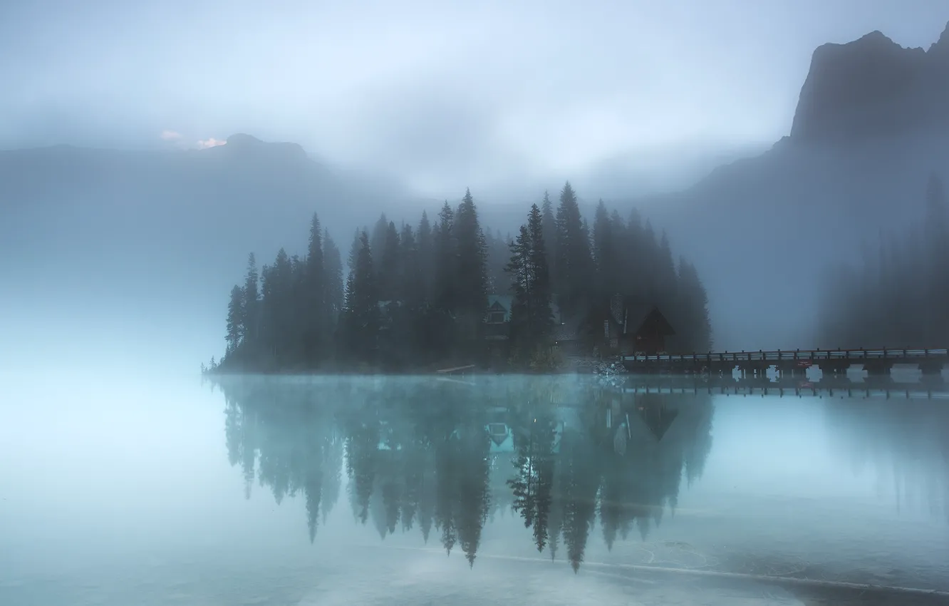 Фото обои forest, lake, island, fog