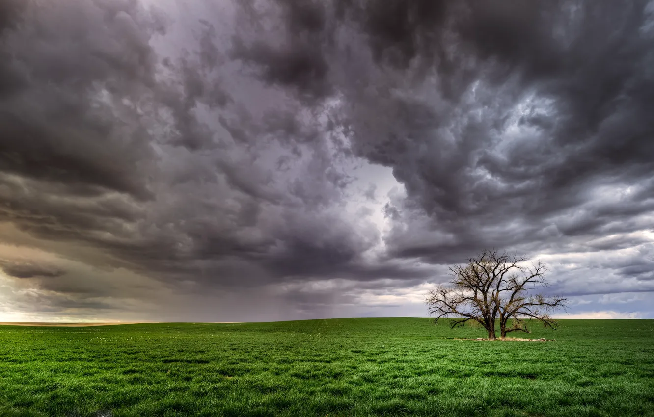 Фото обои United States, Colorado, Last Chance, Lindon