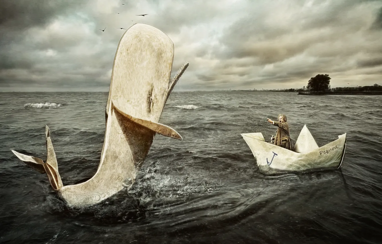 Фото обои море, лодка, ситуация, кит