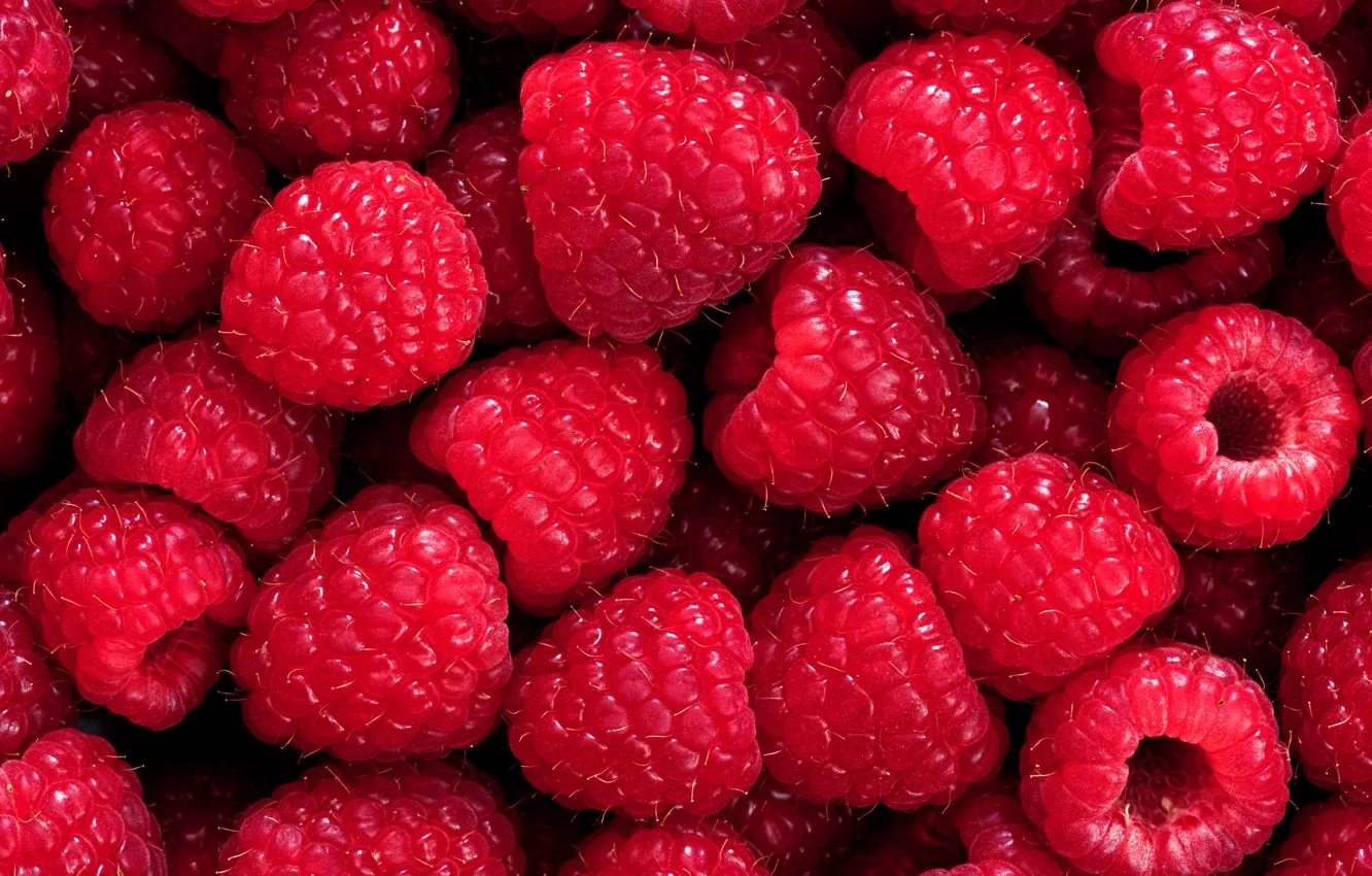 Фото обои ягоды, малина, фон, background, Raspberry